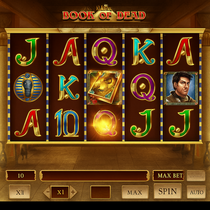 RoboCat - Book of Dead Slot Game - Online Pokies